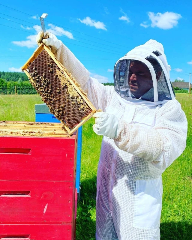 Jiří Koleňák: Včely mají úžasný management. Měli bychom se od nich učit