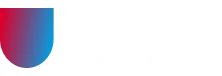 newton global