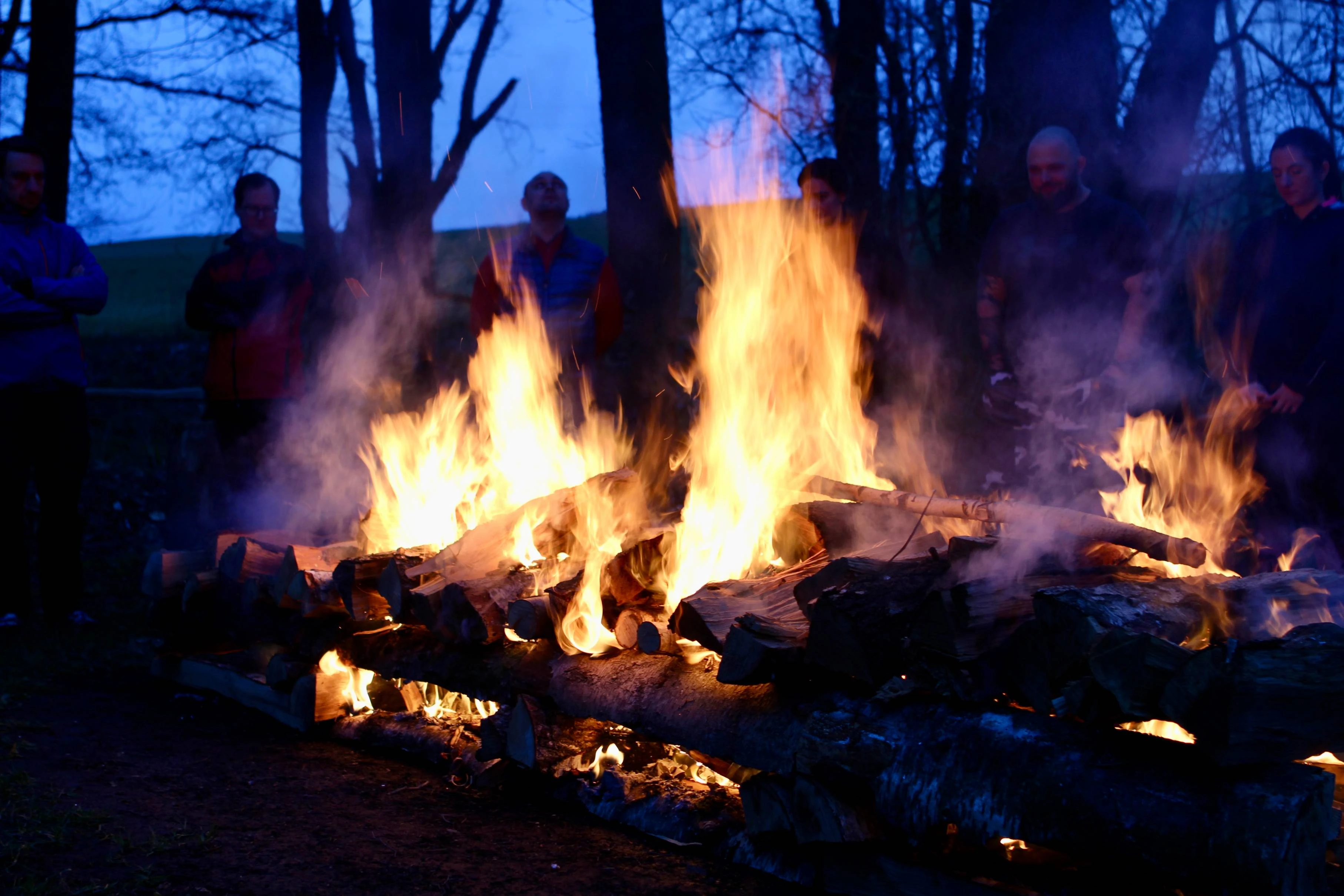 Nejen znovu vstát: Propojení systémové a individuální odolnosti v proměnlivém světě