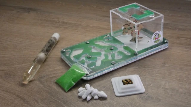 Trendy byznys s mravenčími koloniemi dorazil do Čech díky AntsParku