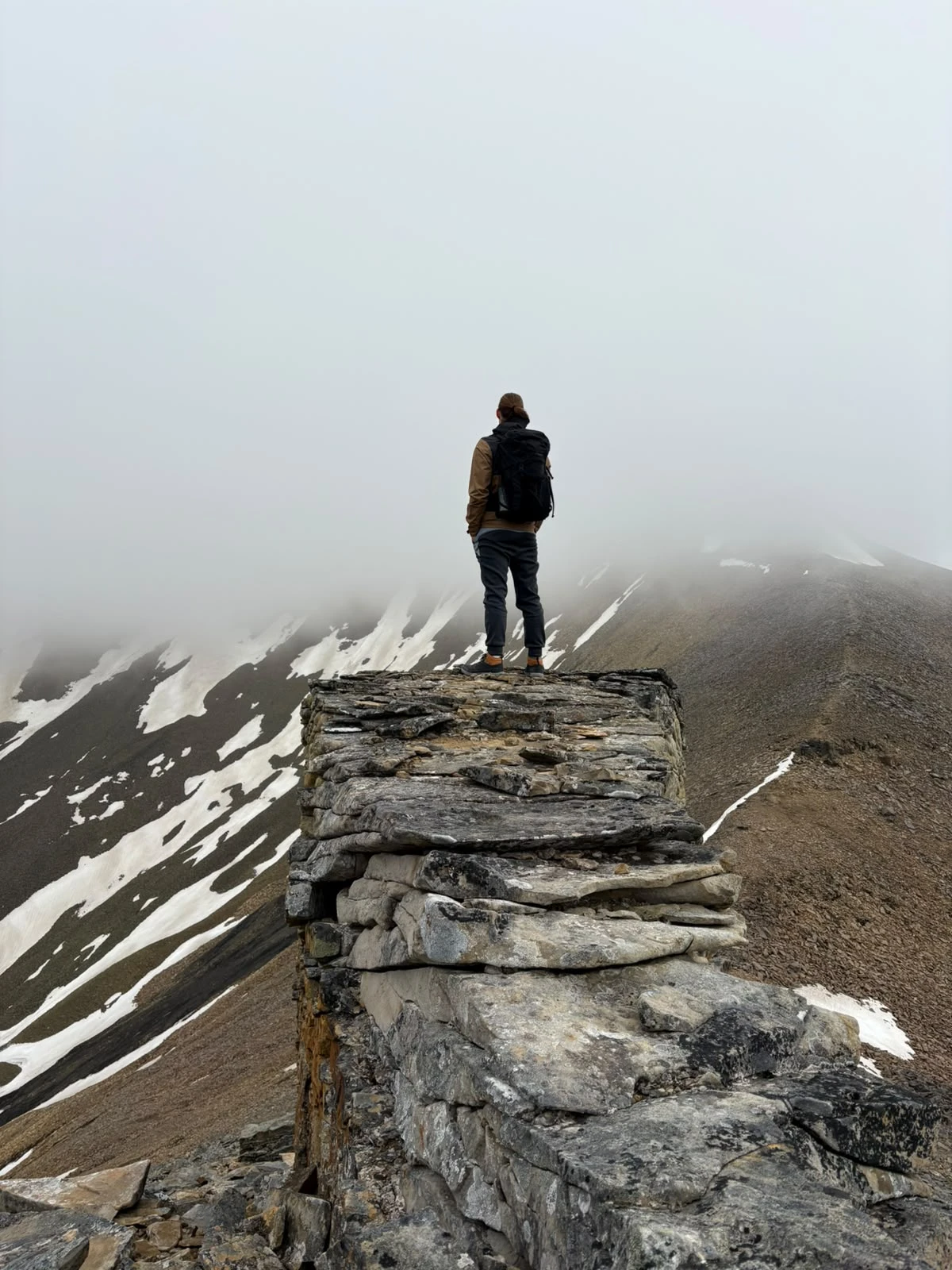 NEWTON in the Arctic